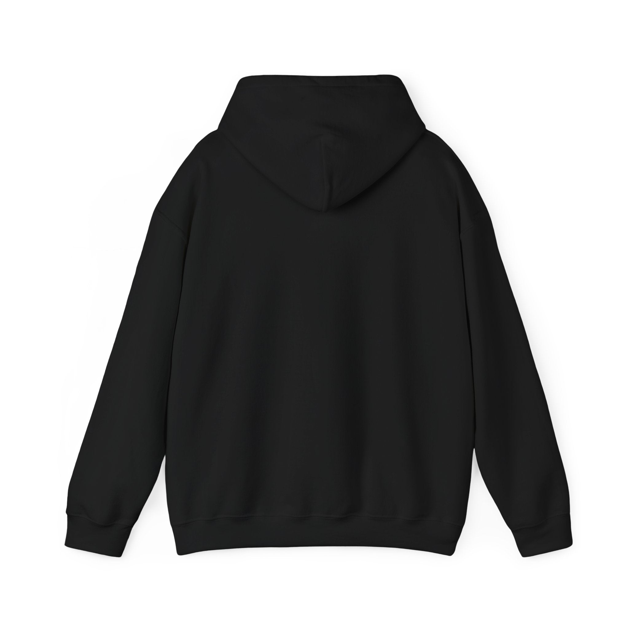 Ai 2028 Hoodie in Black