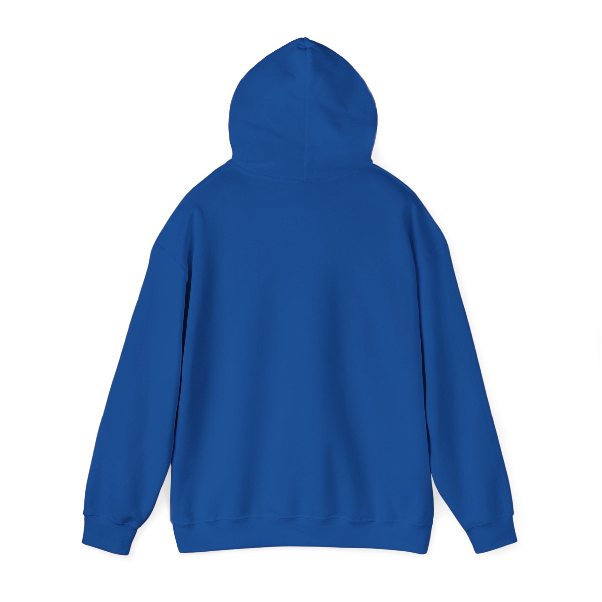 Ai 2028 Hoodie in Blue